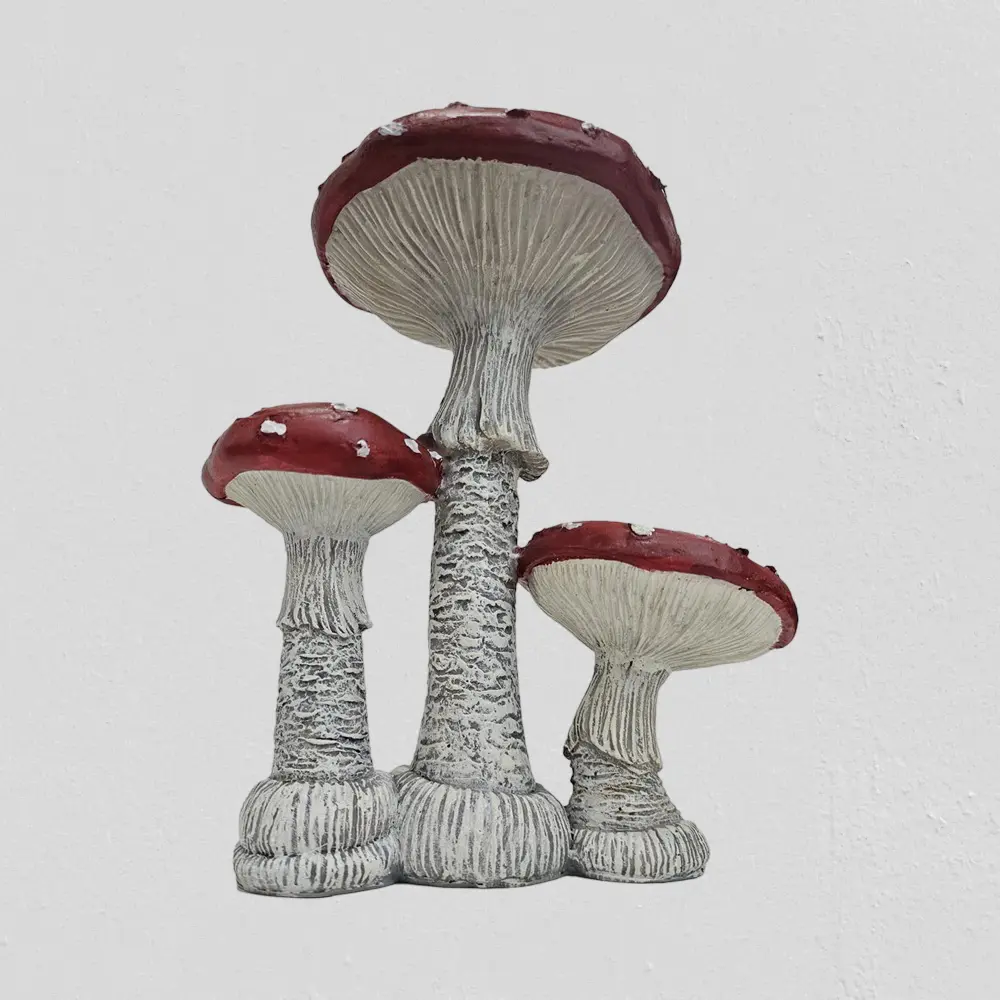 24562-2-1000x1000 (1).webp