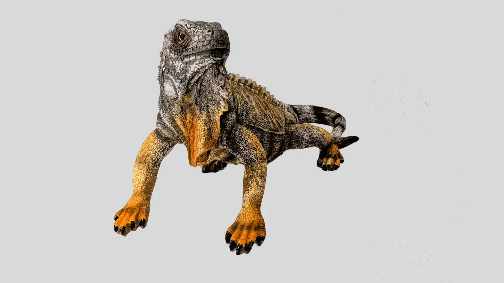 PXL_20250630_042153169_2-removebg (1).webp