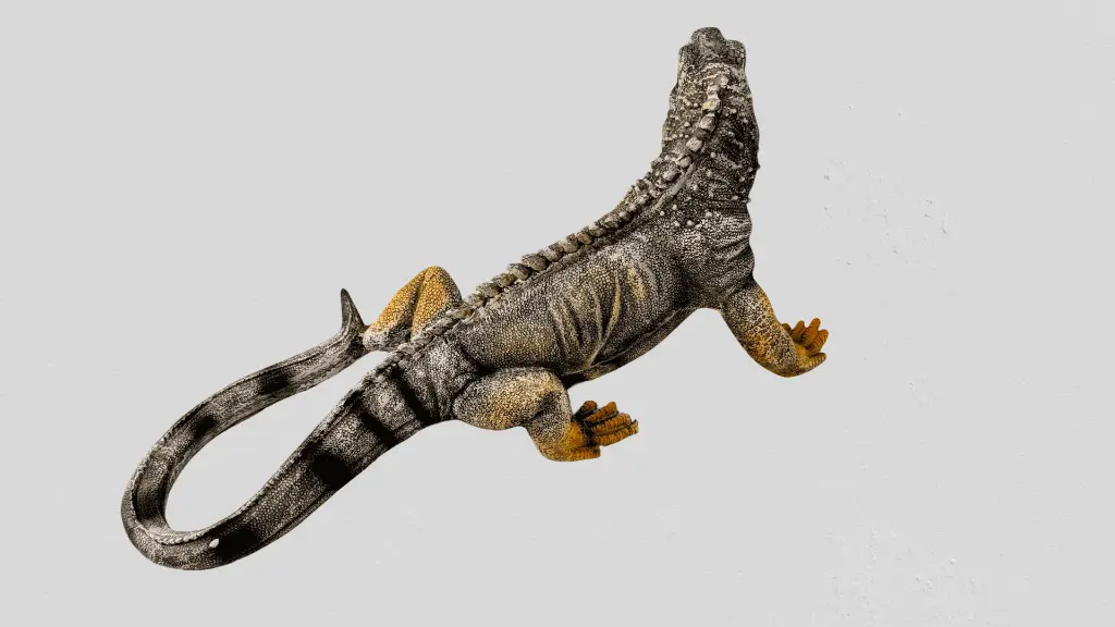 PXL_20250630_042021664_2-removebg (1).webp