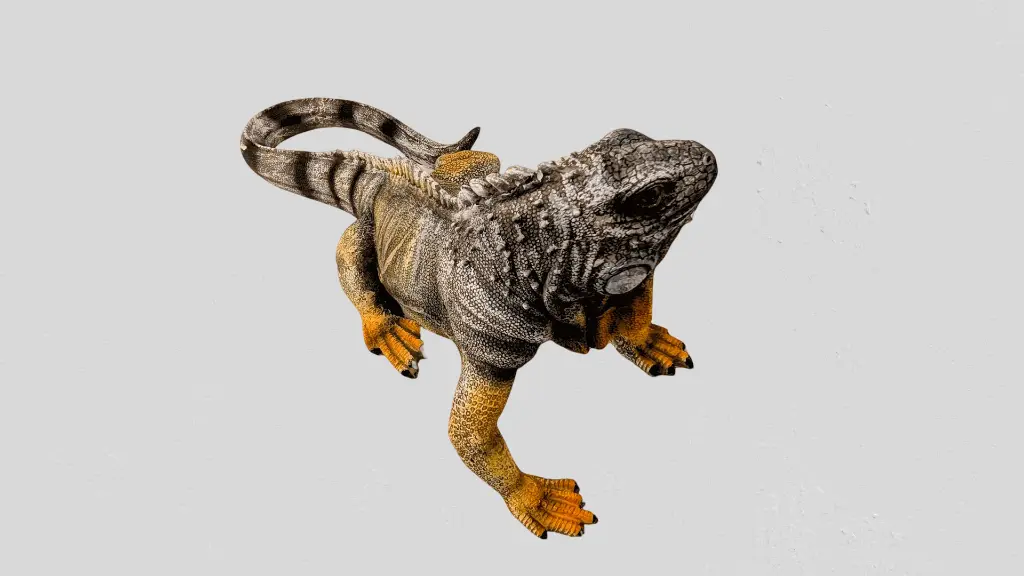 PXL_20250630_041941615_2-removebg (1).webp