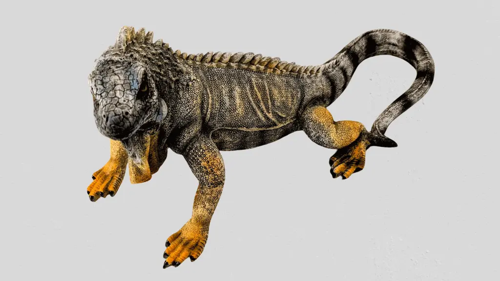 PXL_20250630_041908194_2-removebg (1).webp