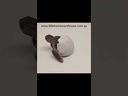 youtube - [Video]