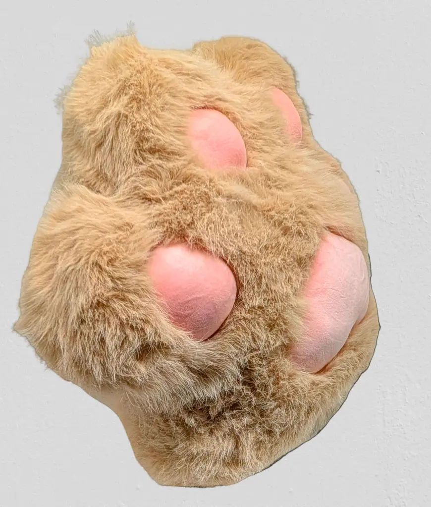 PXL_20250703_053512827_2-ai-brush-removebg-pzev48f (1).webp