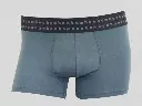 Mens-trunks-SlateG.webp