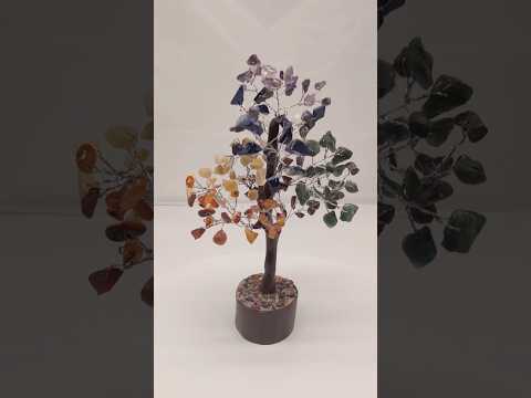 youtube - [Video]