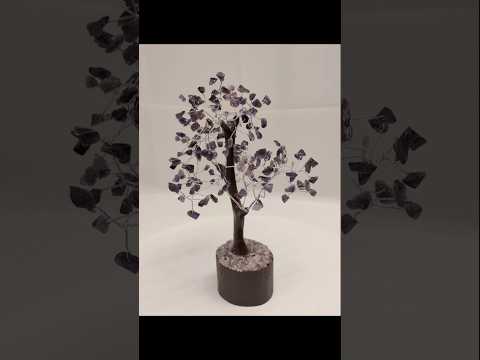 youtube - [Video]