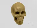 Jade (Nephrite) Skull Small -1pc