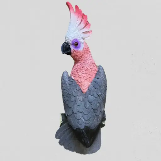 [PS973P] Galah Cockatoo Wall Décor Statue