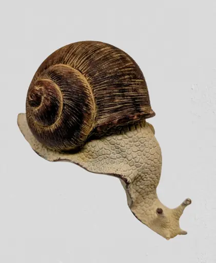 [UT8413-1] Snail Ledge - Large